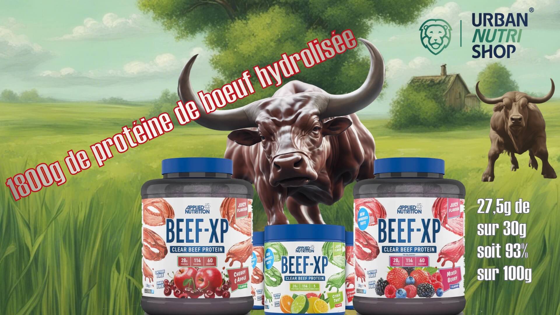 banniere de la proteine de boeuf hydrolisee beef-xp de applied nutrition